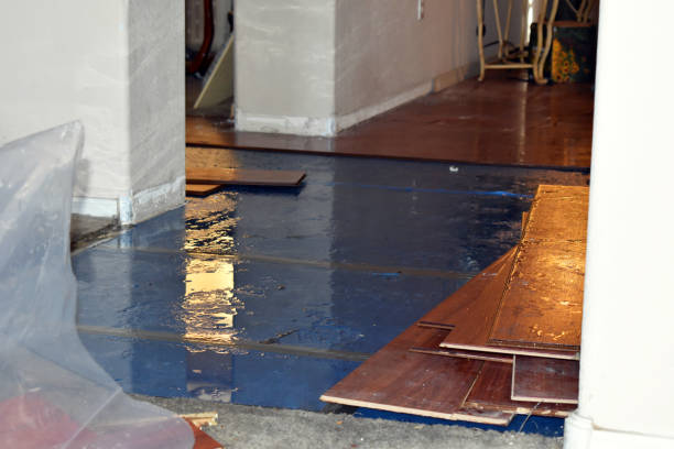 Professional Basement Water Removal technician working in Polo, IL